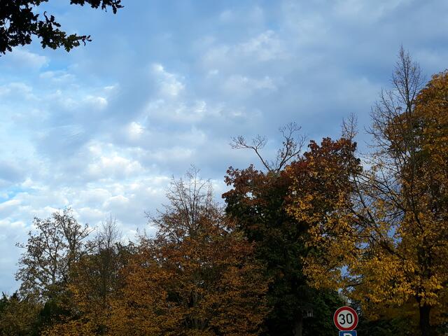 Foto: ELISABETH WEBER