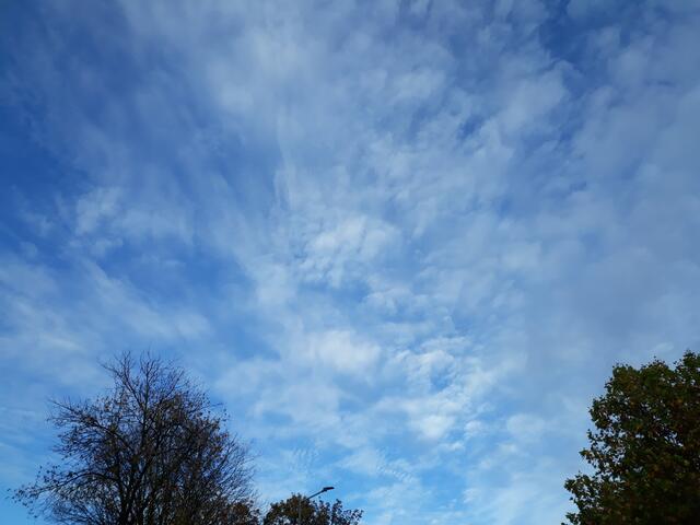 Foto: ELISABETH WEBER