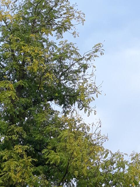 Foto: ELISABETH WEBER