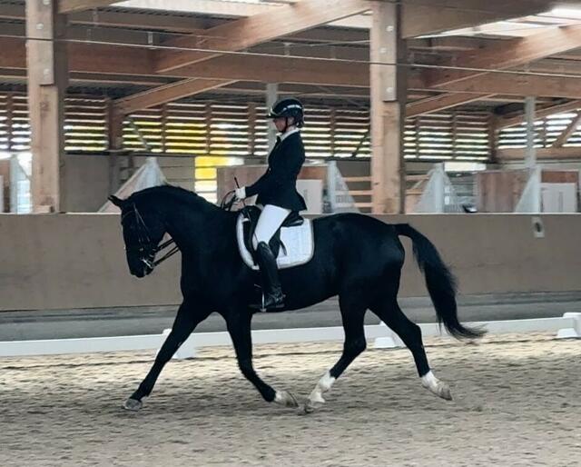 Junis Burkhard mit Galileo in der L-Dressur | Foto: C. Gross