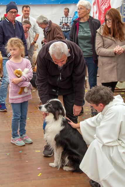 Der Wendelinusmarkt beginnt am Sonntag, um 11.30 Uhr, mit der Tiersegnung im Festzelt auf dem Prometheusplatz.Wer möchte, kann sein Haustier mitbringen und segnen lassen. | Foto: Stefan Layes