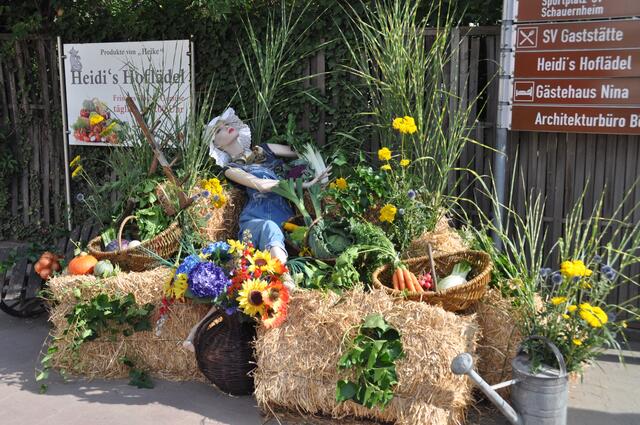 Foto: Andrea Clemens