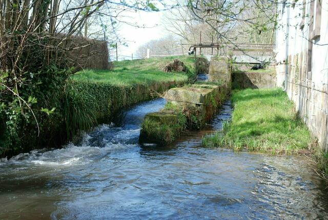 Naturidylle mitten im Industriegebiet | Foto: Pacher Markus