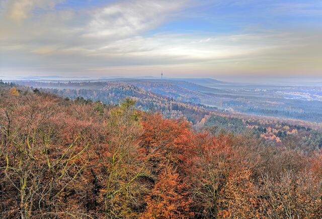 Prächtiges Farbenspiel des Pfälzerwaldes im Herbst mit Blick in Richtung Fernmeldeturm in Dansenberg. Hier lässt man den städtischen Wahnsinn hinter sich und kommt zur Ruhe. | Foto: Christina Pircher
