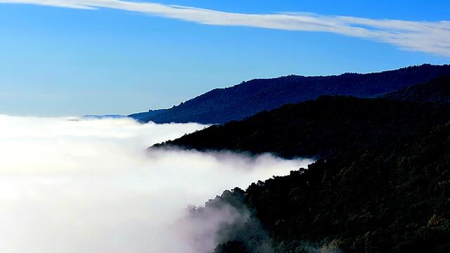 Wie Zungen ragen die Wolken in den Pfälzerwald hinein. | Foto: Markus Pacher