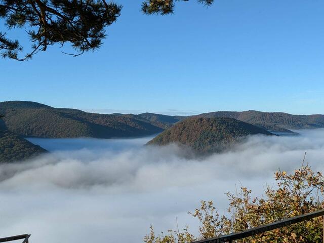 Blick vom Bergstein bei Neustadt | Foto: Elke Schlimbach