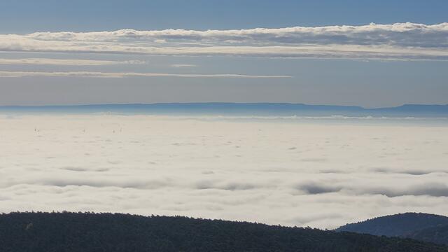 Blick über den Schwarzwald in die Rheinebene hinein. | Foto: Markus Pacher