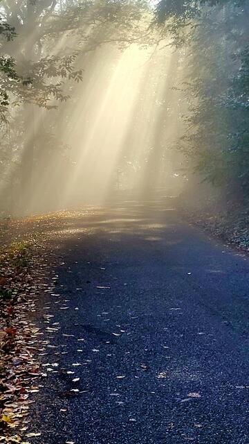 Wie von Scheinwerfern beleuchtet: Die Fahrt zur Kalmit | Foto: Markus Pacher