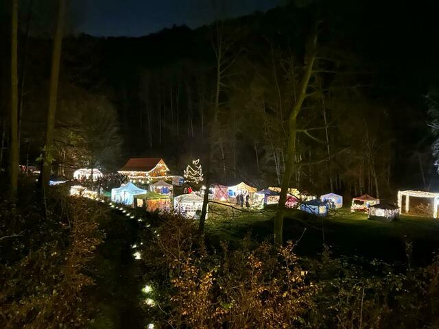 Blick vom Baumhaus | Foto: Ute Götz