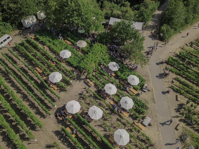 Foto: Heike Ackermann