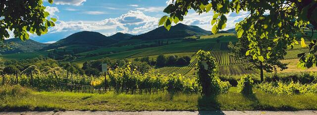 Foto: Heike Ackermann