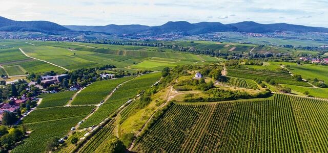 Foto: Heike Ackermann