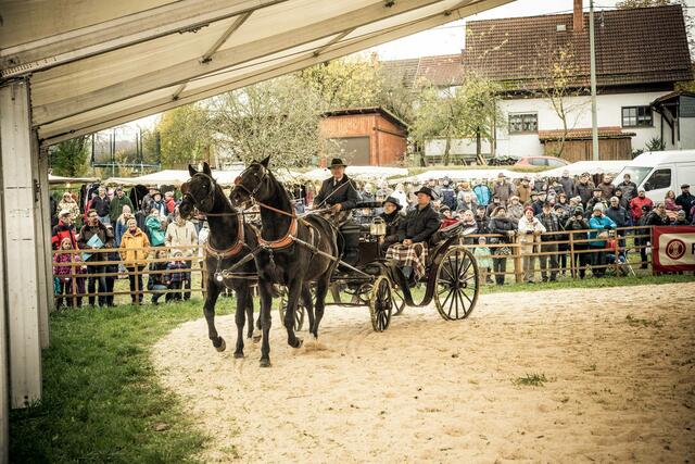 Auszug aus der Pferdeprämierung | Foto: privat