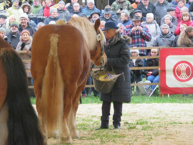 Es nehmen verschiedene Rassen teil. | Foto: privat