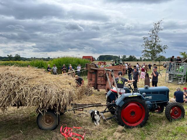 Historische Getreideernte | Foto: Festkomitee der Ortsverwaltung Geinsheim 