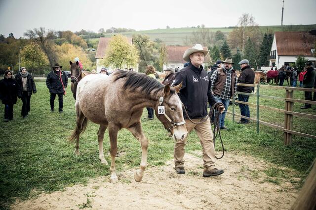 Auszug aus der Pferdeprämierung | Foto: privat