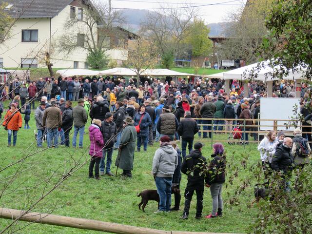 Die Pferdeprämierung als eines der Herzstücke des Marktes lockt Besucher scharenweise an. | Foto: privat
