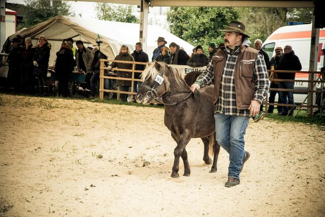 Auszug aus der Pferdeprämierung | Foto: privat