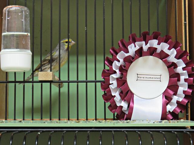 Foto: Brigitte Melder