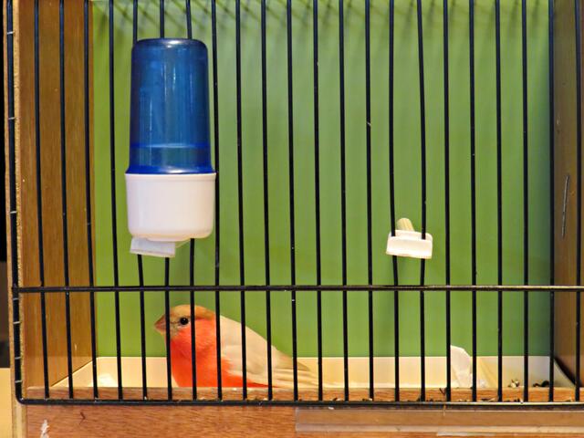 Foto: Brigitte Melder