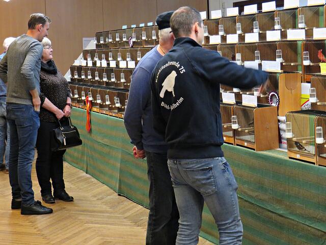 Foto: Brigitte Melder