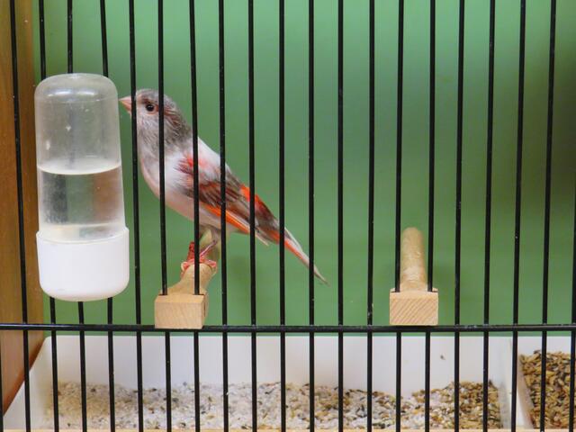 Foto: Brigitte Melder