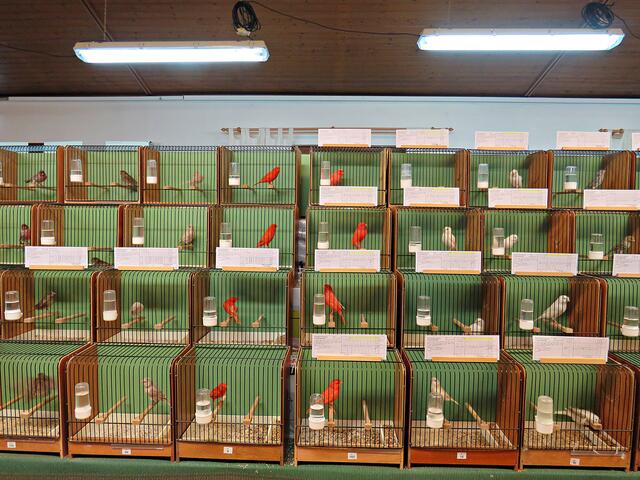 Foto: Brigitte Melder