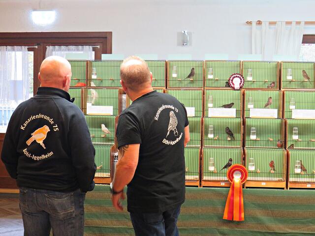 Foto: Brigitte Melder