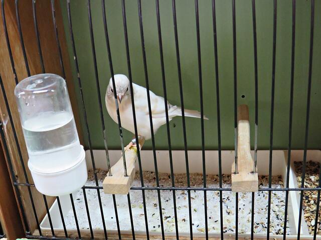 Foto: Brigitte Melder