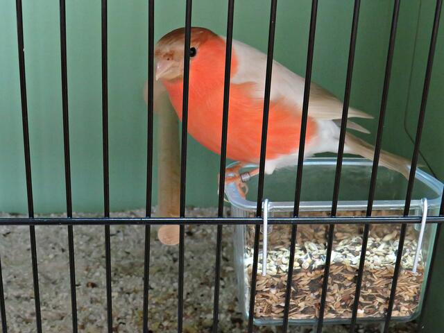 Foto: Brigitte Melder