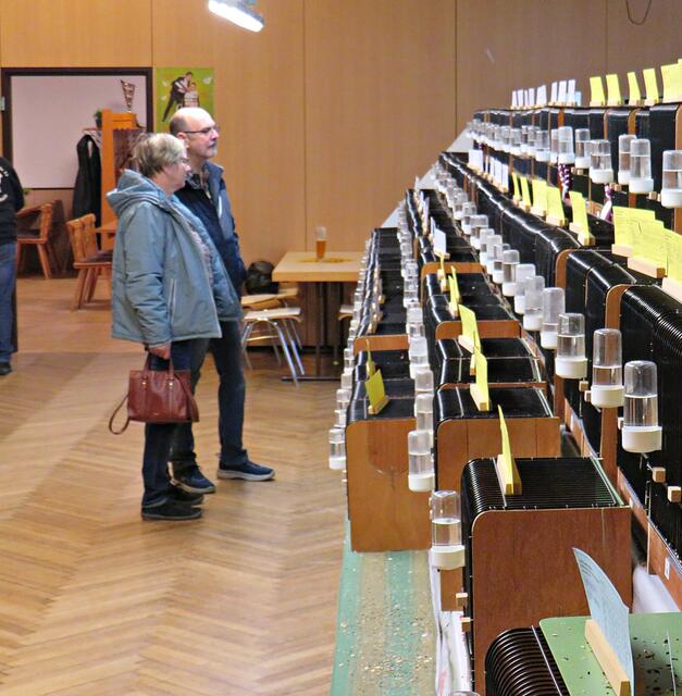 Foto: Brigitte Melder