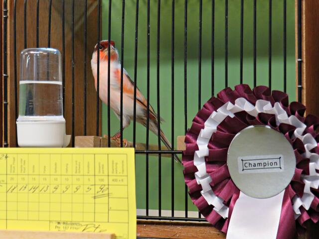 Foto: Brigitte Melder