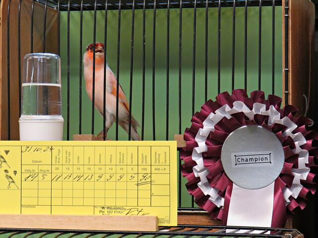 Foto: Brigitte Melder