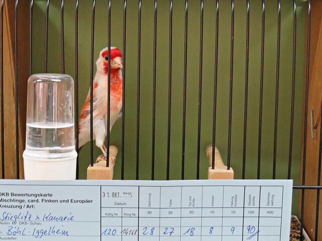 Foto: Brigitte Melder