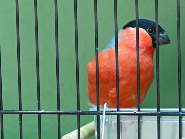 Foto: Brigitte Melder