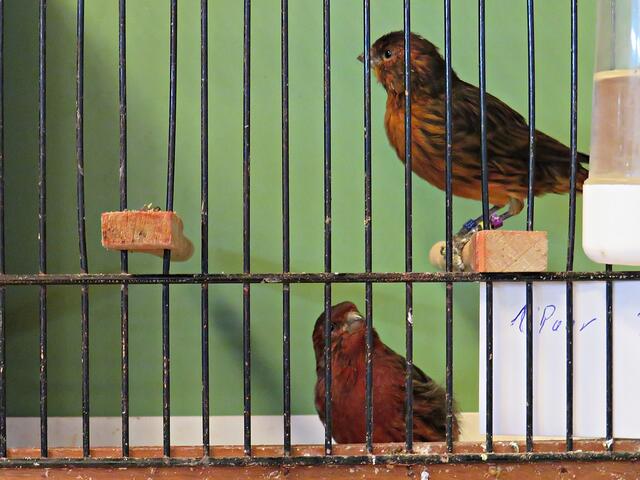 Foto: Brigitte Melder