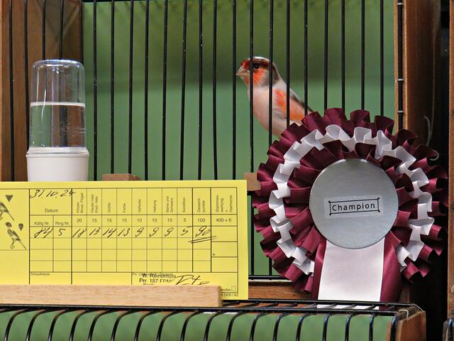 Foto: Brigitte Melder