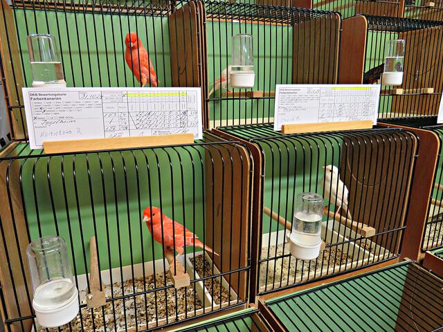 Foto: Brigitte Melder