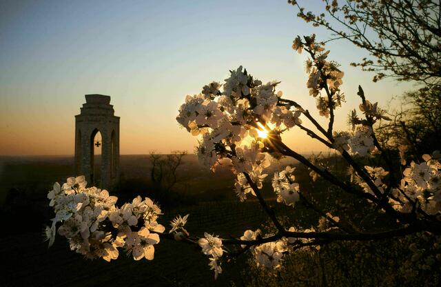 Bick auf das Zellertal | Foto: Florian Bauer