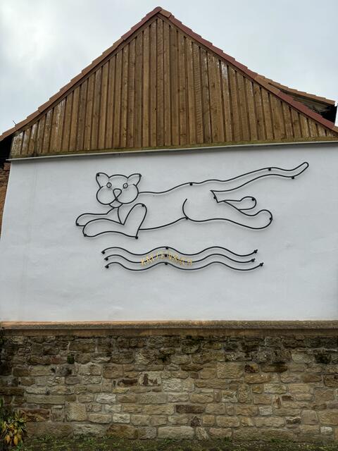 700 Jahre Katzenbach 2024 -Katze auch am Bürgerhausplatz | Foto: Arno Mohr 