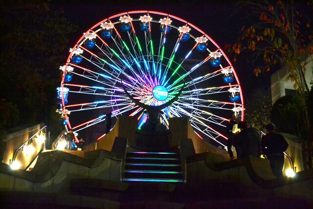 Foto: Frank Schäfer