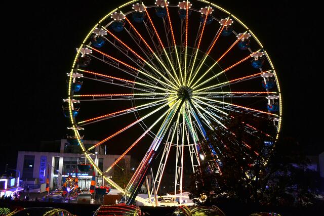 Foto: Frank Schäfer