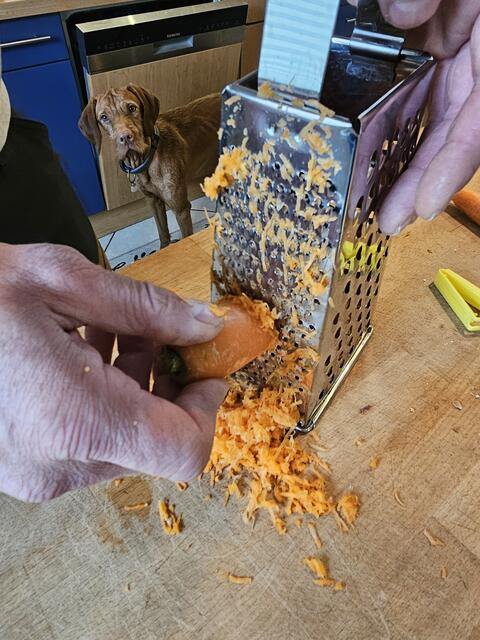 Die Karotten gut geraspelt in den Teig geben. Im Hintergrund beobachtet auch der Hund schon bereits, was es für ihn da gibt | Foto: Gisela Böhmer