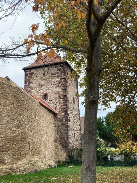 Stadtmauer | Foto: Ich