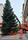 Der Lautrer Weihnachtsbaum steht an altbekannter Stelle | Foto: Stadtbildpflege Kaiserslautern