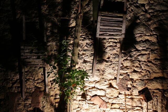 Foto: Wolf Münninghoff