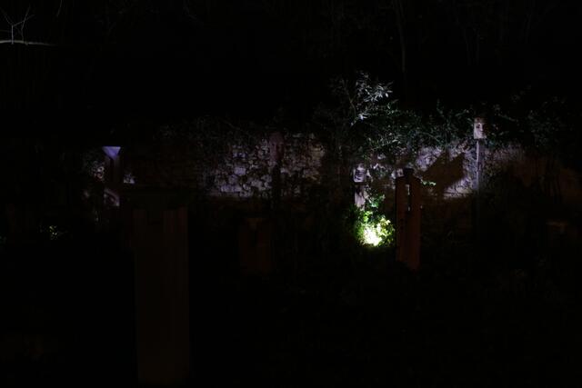 Foto: Wolf Münninghoff