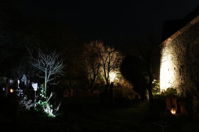 Foto: Wolf Münninghoff