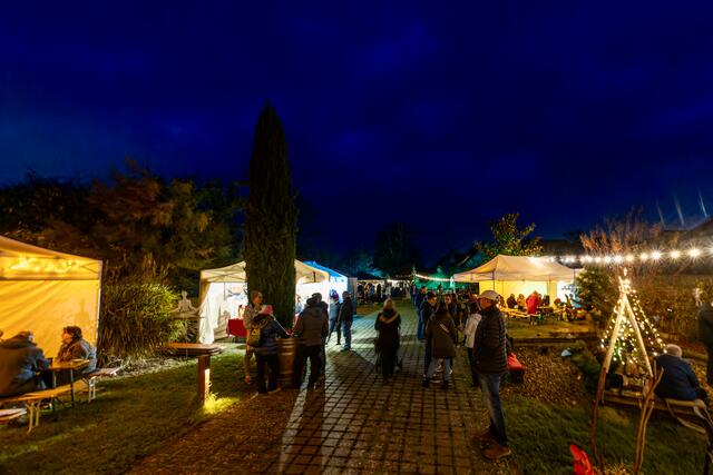 Foto: Johann-Peter Melder