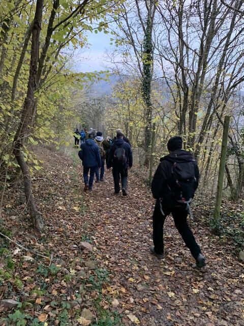 Bergab nach Theisbergstegen | Foto: Peter Krietemeyer